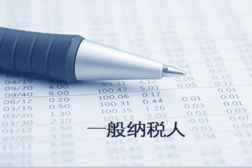 一般納稅人